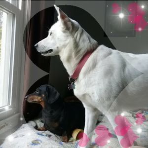 Meet your Posher, Nancy